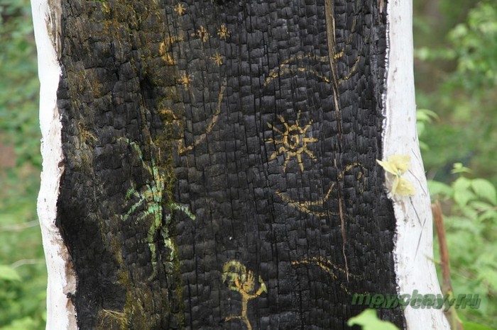 фестиваль тримурти 2012 фото, trimurtu 2012 foto