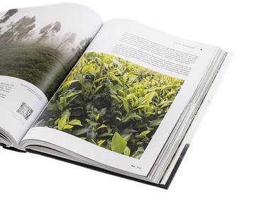 Geography of Chinese tea Sergey Shevelev 512 pages